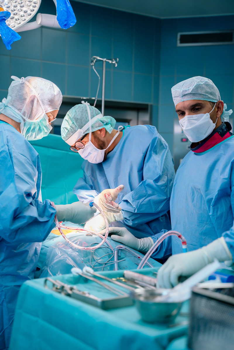 Schwerpunkte | Prof. Dr. Alexander T. Wild